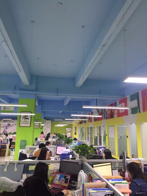 看準(zhǔn)網(wǎng)