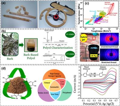 樹基生物聚合物作為可持續(xù)多功能材料的研究進(jìn)展