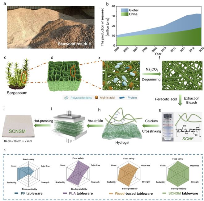 中科大俞書宏院士團隊AM:可食用、超強、熱穩定好的海藻基結構材料,可生物降解餐具新選擇!