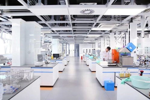 魯 力同行創(chuàng)佳績,再譜援藏新篇章 山東第九批援藏工作紀實