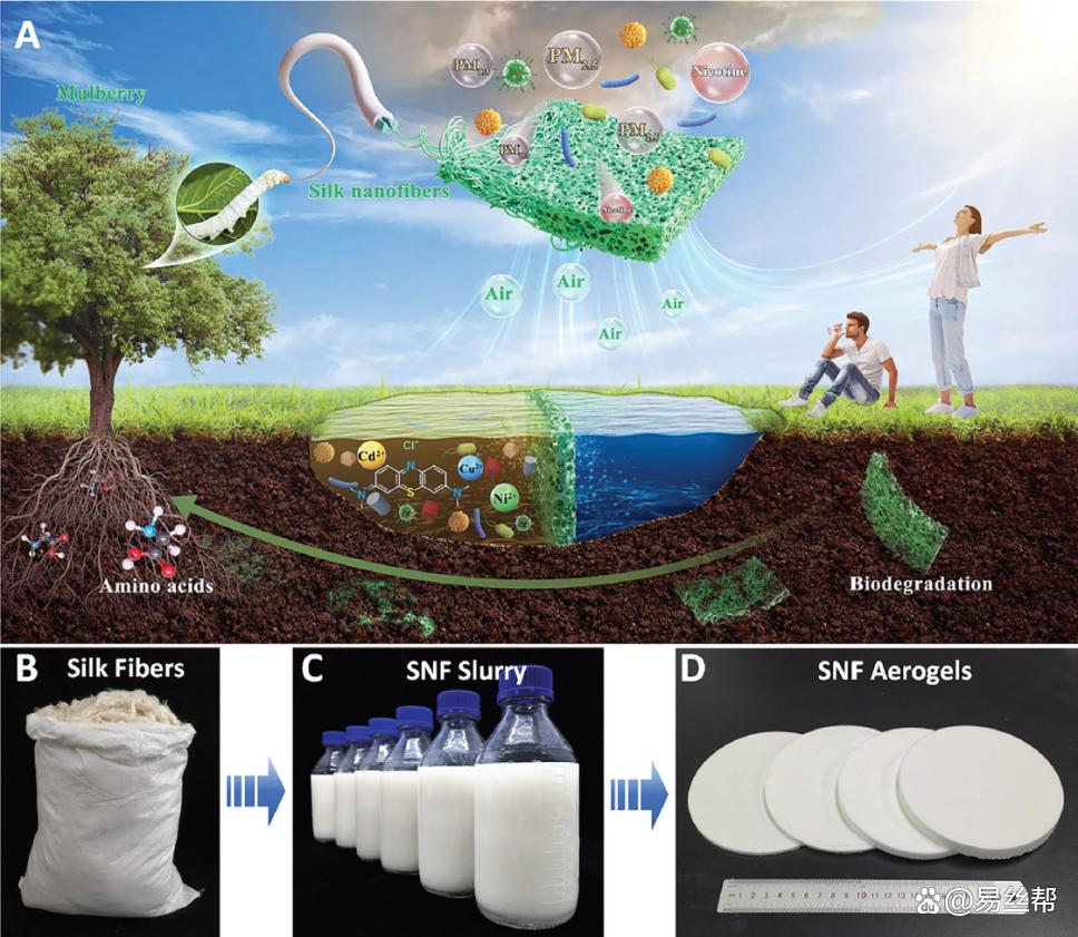 基于蠶絲納米纖維的多功能可生物降解化工產(chǎn)品技術研發(fā)